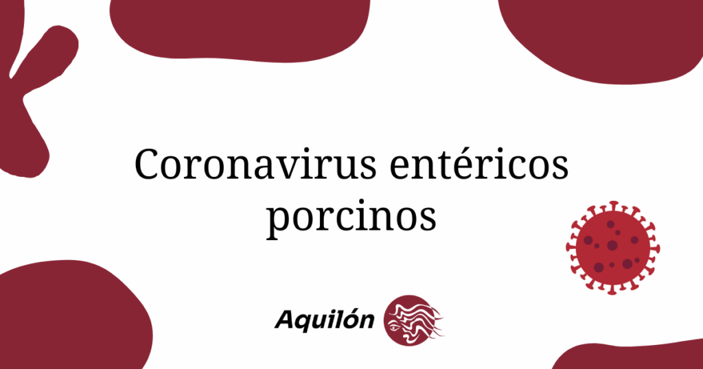 Coronavirus porcinos - Aquilón CyL